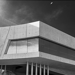 coverImage_Fine Art B&W Buildings