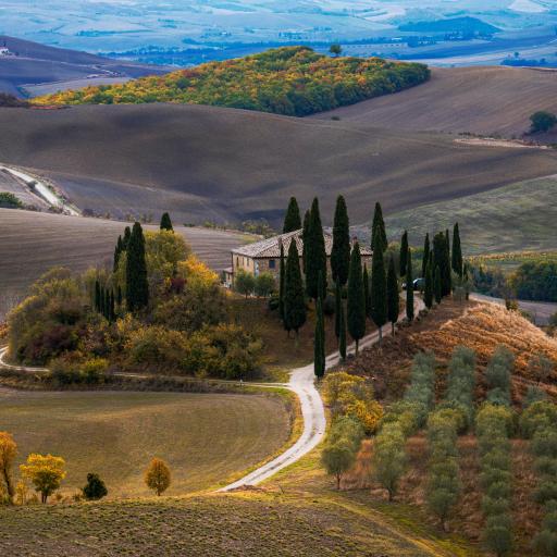 Belvedere