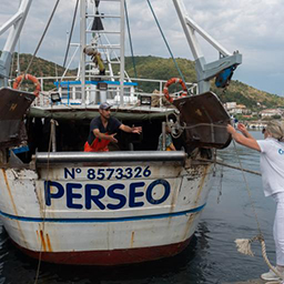 coverImage_PERSEO