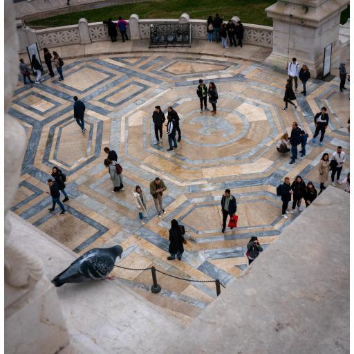 PiazzaVenezia 4x5